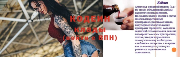 индика Богородицк