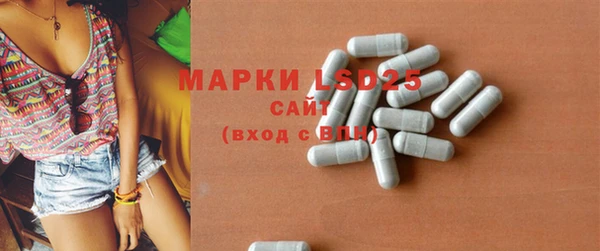 индика Богородицк