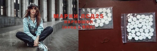 индика Богородицк