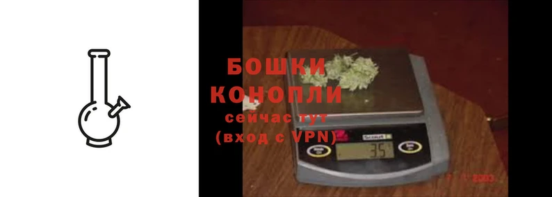 индика Богородицк