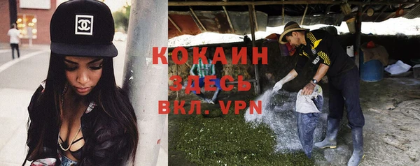 гашик Богданович
