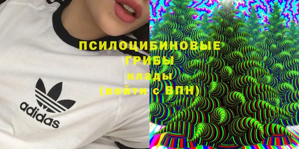 кристаллы Бородино