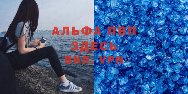 индика Богородицк