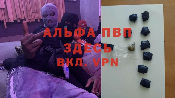гашик Богданович